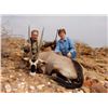 Image 8 : The Sporting Trader – Namibia Plains Game Hunt 2 Hunters 5 Days