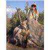 Image 9 : The Sporting Trader – Namibia Plains Game Hunt 2 Hunters 5 Days