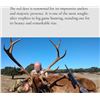 Image 1 : Huntinspain & Alfonso: Trophy Fallow deer, Mouflon sheep, Roe Deer OR Red Stag