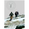 Image 6 : Huntinspain & Alfonso: Trophy Fallow deer, Mouflon sheep, Roe Deer OR Red Stag
