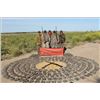 Image 1 : HP Wingshooting Adventures - Argentina Dove Hunt – 4 Hunters for 4 days