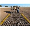 Image 4 : HP Wingshooting Adventures - Argentina Dove Hunt – 4 Hunters for 4 days