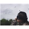 Image 7 : HP Wingshooting Adventures - Argentina Dove Hunt – 4 Hunters for 4 days