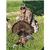 Image 11 : Central Kentucky Outfitters – Eastern Turkey Hunt 2027 – 2 Hunters, 3 Days