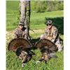 Image 1 : Central Kentucky Outfitters – Eastern Turkey Hunt 2027 – 2 Hunters, 3 Days