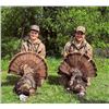 Image 2 : Central Kentucky Outfitters – Eastern Turkey Hunt 2027 – 2 Hunters, 3 Days