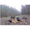 Image 7 : Central Kentucky Outfitters – Eastern Turkey Hunt 2027 – 2 Hunters, 3 Days