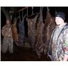 Image 3 : Pope Brothers Guide Service –  Unlimited Texas Hog Hunt – 2 Hunters for 2 Days