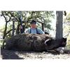 Image 6 : Pope Brothers Guide Service –  Unlimited Texas Hog Hunt – 2 Hunters for 2 Days