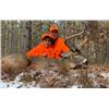 Image 1 : Links Wild Safaris – Northern Wisconsin Whitetail for 1 Hunter