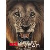 Image 1 : 2025 SCI Print of the Year – “RAW” by Peter Stewart