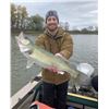 Image 1 : City Cats Guide Service – Fall Walleye 3 People / 1 Day