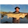 Image 3 : City Cats Guide Service – Fall Walleye 3 People / 1 Day
