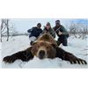 Image 2 : Fall Russian Kamchatka Brown Bear 1 Hunter – Links Wild Safaris