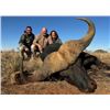 Image 9 : Trophy Clearance Certificate for Import into USA
