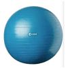 Image 1 : Evoke Guided Exercise Ball – 75cm with Guide