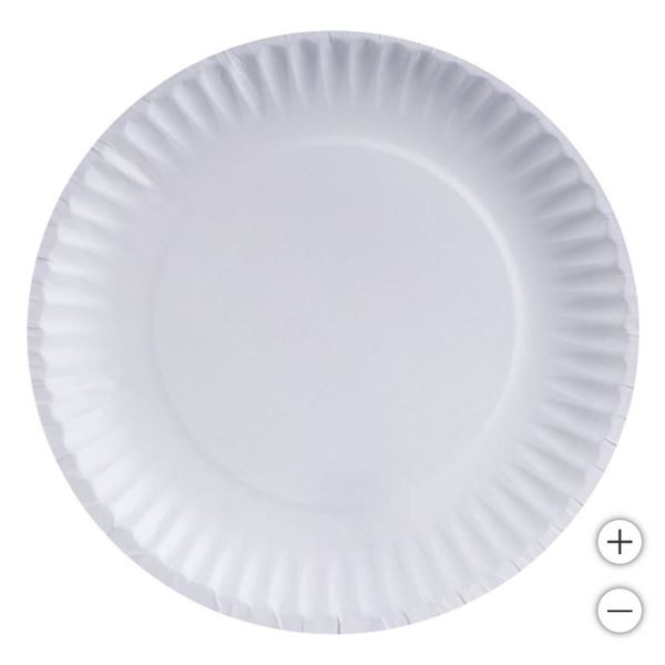 Green Label 9-Inch White Paper Plates, 12 Packs of 100 Each