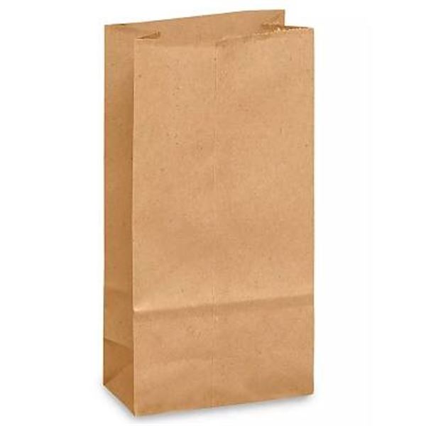 500 DD 50 1/6 BBL 50 Plain Bags by Rosenbloom Groupe Inc. 12x7x17″