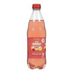 Ginger Ale Raspberry Lemonade Canada Dry Raspberry Lemonade Ginger Ale 24 x 500 mL Bottles