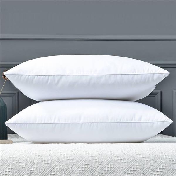 George Courey Grandee 1687 Queen Size Pillow Lot of 2