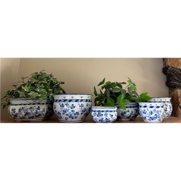 Blue & White Planters