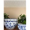 Image 3 : Blue & White Planters