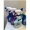 Image 2 : Cleaning Supply Lot