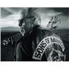 Image 1 : Ron Perlman signed photo