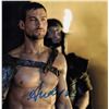 Image 1 : Andy Whitfield signed photo