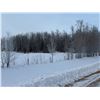 Image 10 : S.W. of Boyle, 148 Acres of Fenced Pasture Land NE-07-64-19-4