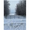 Image 11 : S.W. of Boyle, 148 Acres of Fenced Pasture Land NE-07-64-19-4
