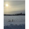 Image 15 : S.W. of Boyle, 148 Acres of Fenced Pasture Land NE-07-64-19-4