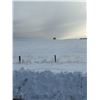 Image 16 : S.W. of Boyle, 148 Acres of Fenced Pasture Land NE-07-64-19-4