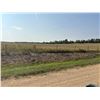 Image 1 : S.W. of Boyle, 148 Acres of Fenced Pasture Land NE-07-64-19-4
