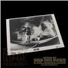 Image 1 : AC/DC - Original 8.5" x 6.5" Press Photograph - 2085