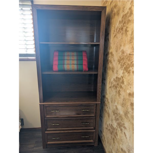 Book Case with Two Drawer Cabinet