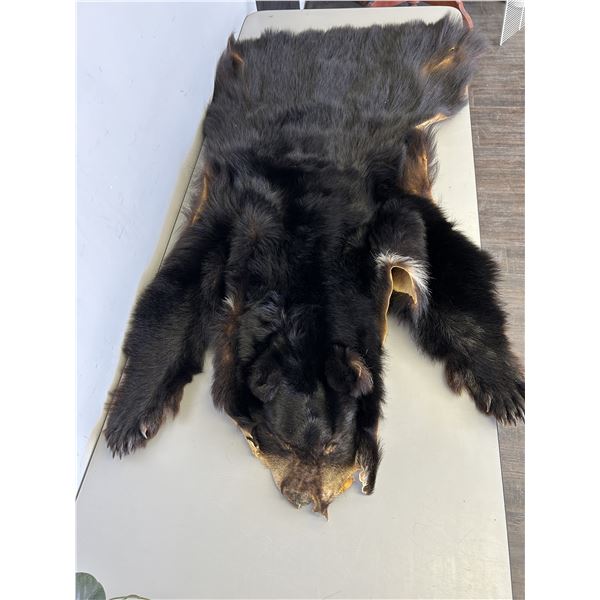 Manitoba Black Bear Tanned Hide Bear Skin Rug
