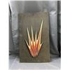 Image 1 : Vintage Wall String Art  18" x 30"