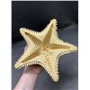Image 3 : Dried Real Starfish 10"