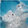 Image 2 : Swarovski Wonders of The Sea Figurines, Harmony 681823 and Shells 880692