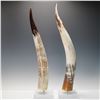 Image 1 : Pair of Mounted Cattle Horns on Acrylic Bases