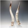Image 2 : Pair of Mounted Cattle Horns on Acrylic Bases
