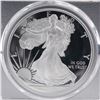 Image 2 : 2019-W American Silver Eagle Type 1 Dollar PCGS Graded PR 70 DCAM