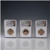 Image 1 : 3pc American Innovation Coin Set Georgia MD NC NGC Slabbed