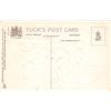 Image 2 : Tuck Halloween Series 160 Gold Border Devil & Demons Drinking Postcard