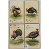 Image 2 : Group of 10 Thanksgiving Turkey Holiday Greeting Postcards