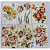 Image 1 : Group of 8 Easter Nister Flower Face Children Postcards