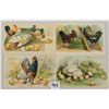 Image 1 : Group of 4 Easter Chickens Holiday Greeting Postcards