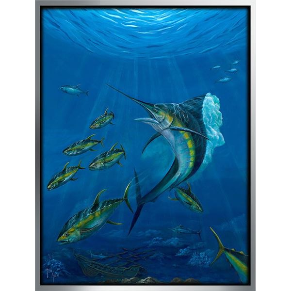 Marlin And Sushi By Tom Gion