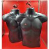 Image 1 : Male Upper Body Mannequins